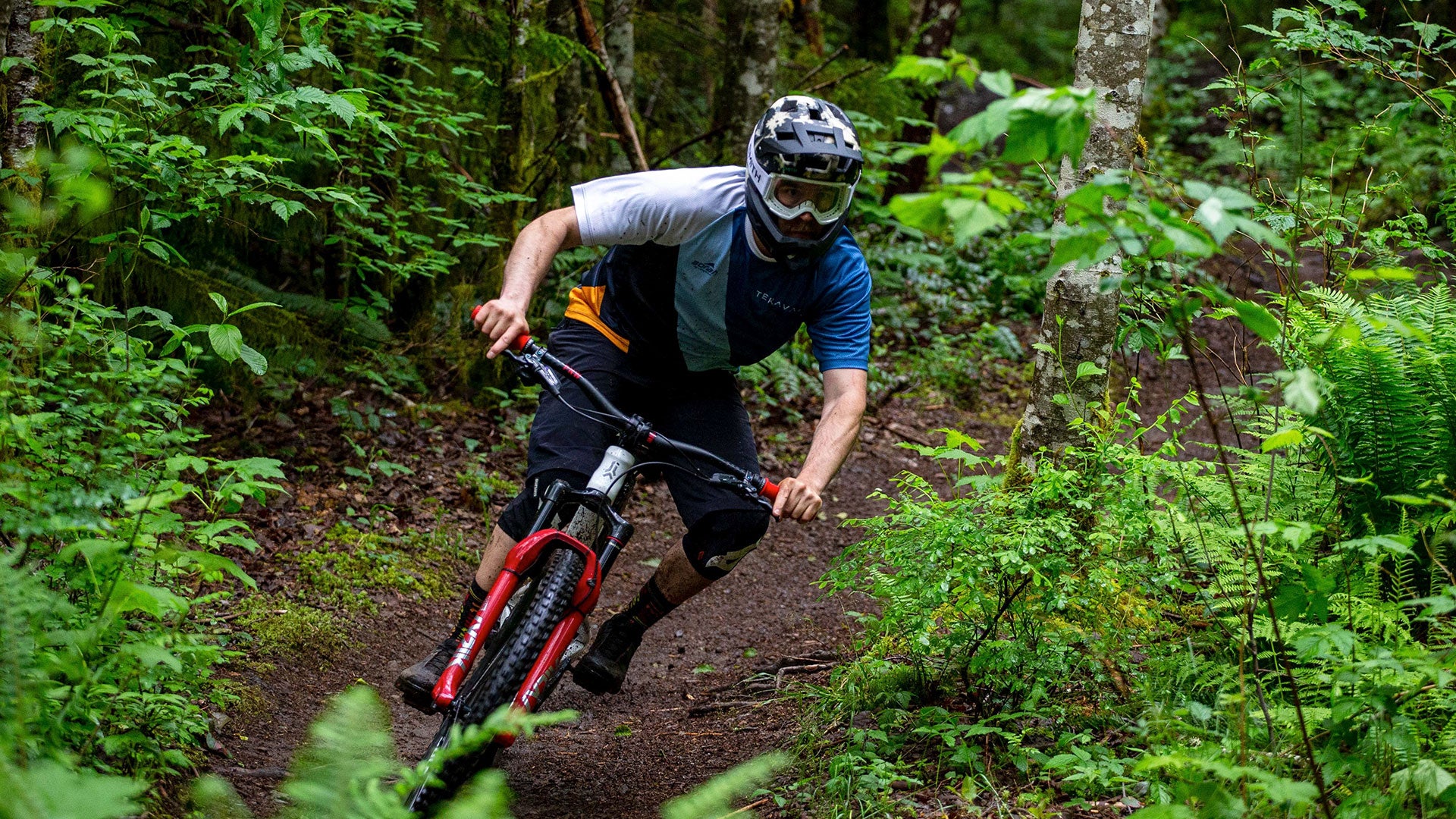 Mountain biker descending forest trail wearing full-face helmet and Teravail jersey