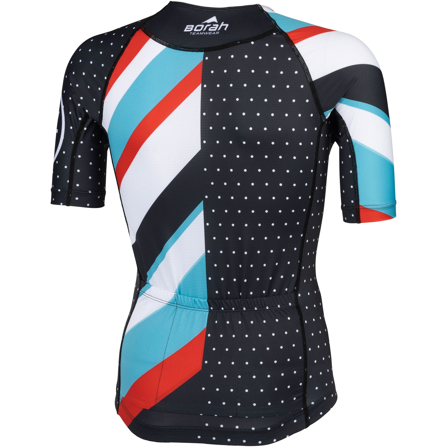 Teravail Waypoint Jersey - Men's back view multi-color design with Borah logo